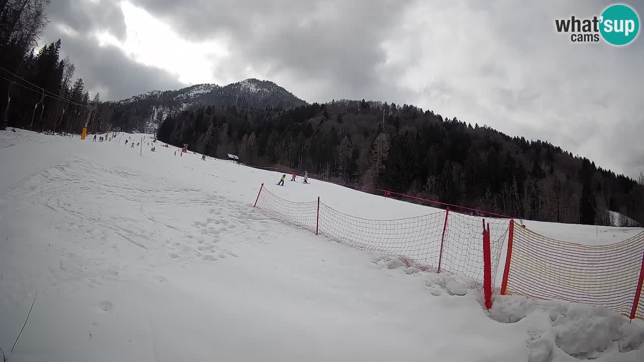 Kranjska Gora Station de ski | Brsnina