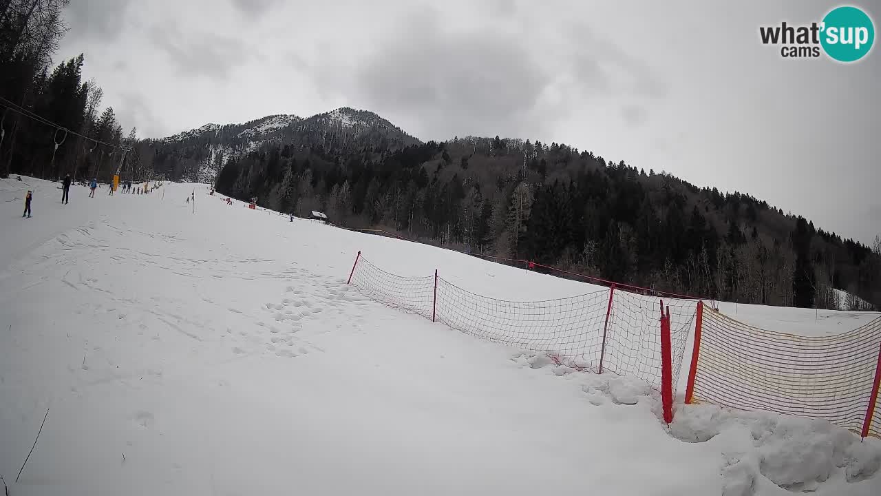 RTC Kranjska Gora | Brsnina