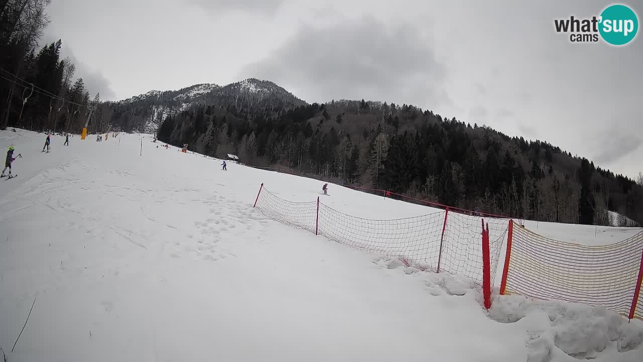 Kranjska Gora Station de ski | Brsnina