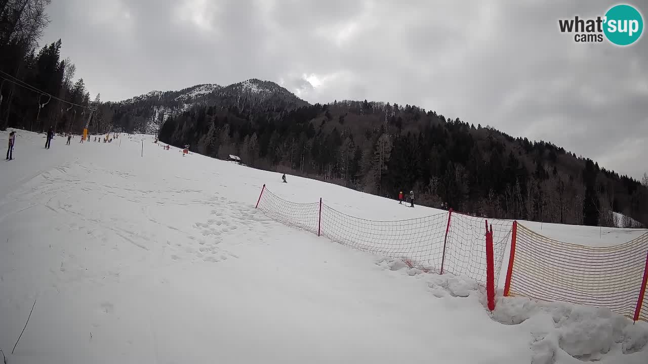Ski Kranjska Gora | Brsnina