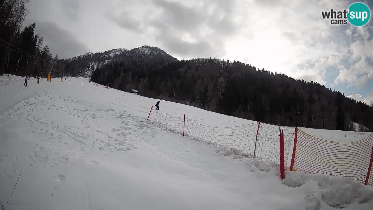 RTC Skigebiet Kranjska Gora | Brsnina