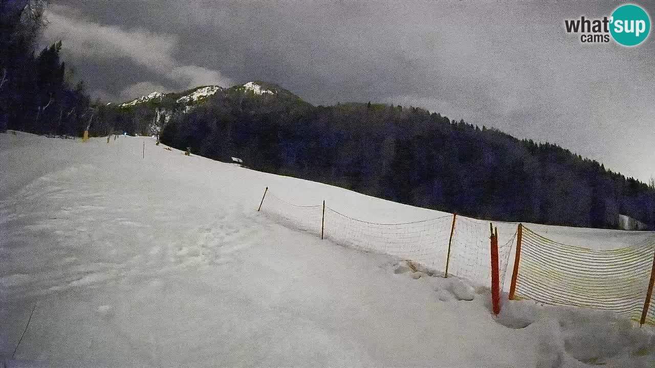 Comprensorio sciistico Kranjska Gora | Brsnina