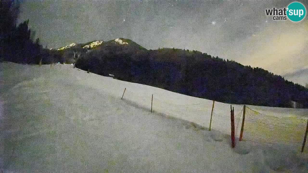 Ski Kranjska Gora | Brsnina