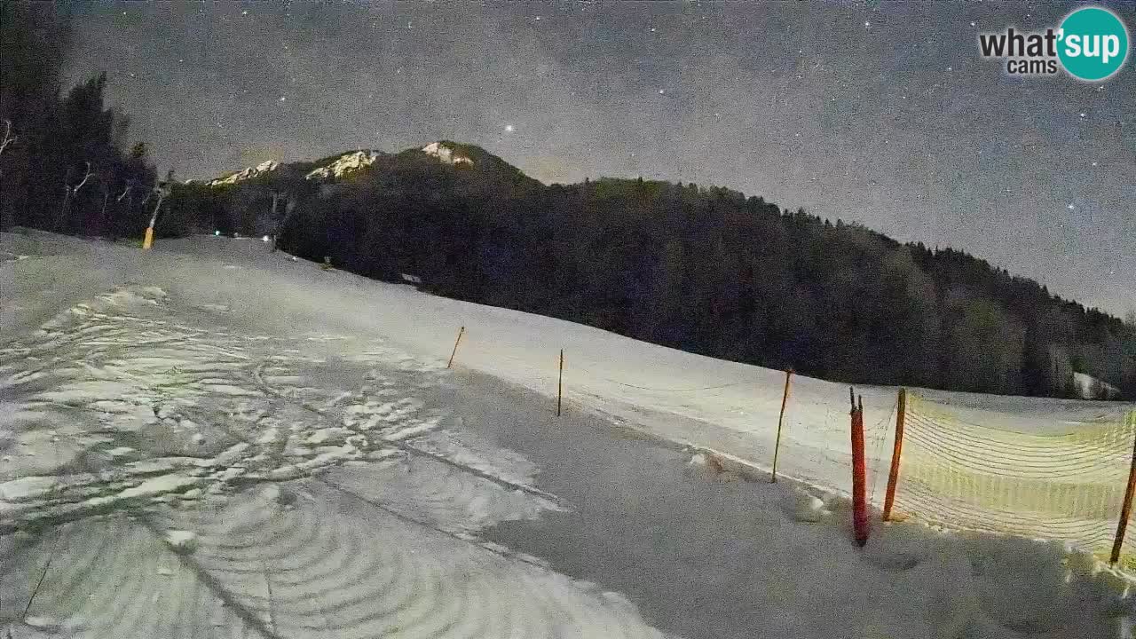 RTC Skigebiet Kranjska Gora | Brsnina