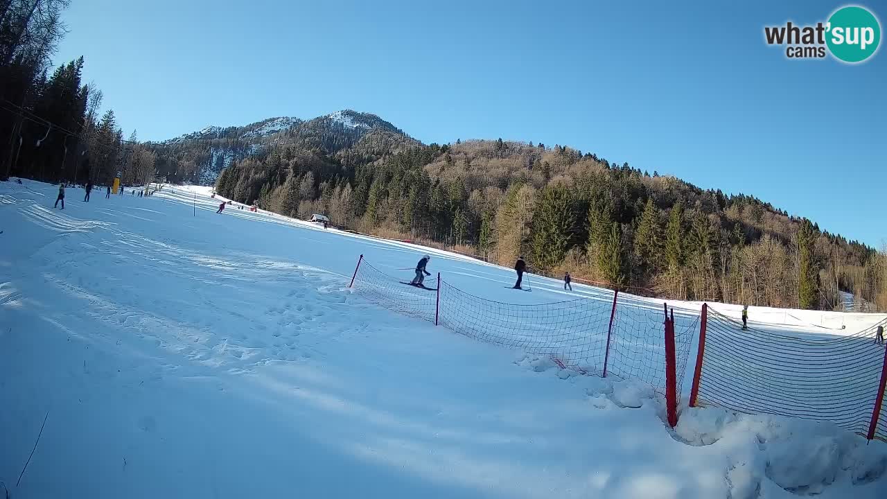 RTC Kranjska Gora | Brsnina