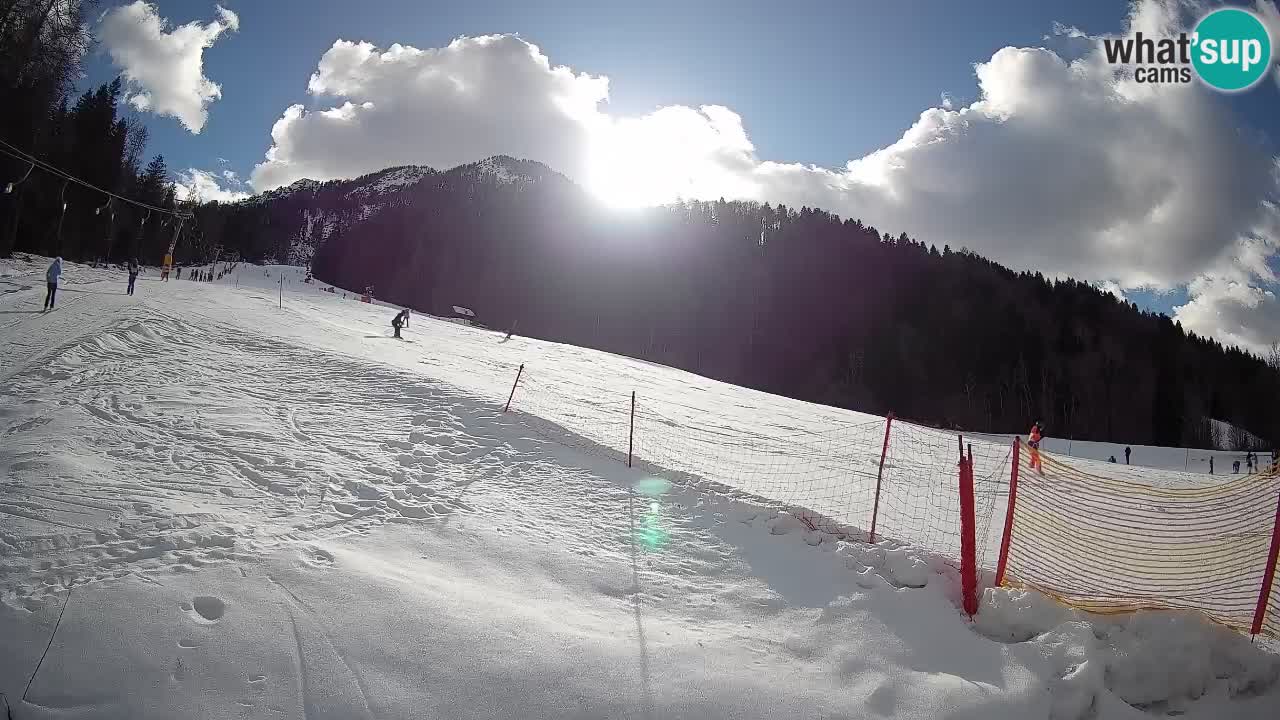 Kranjska Gora Station de ski | Brsnina