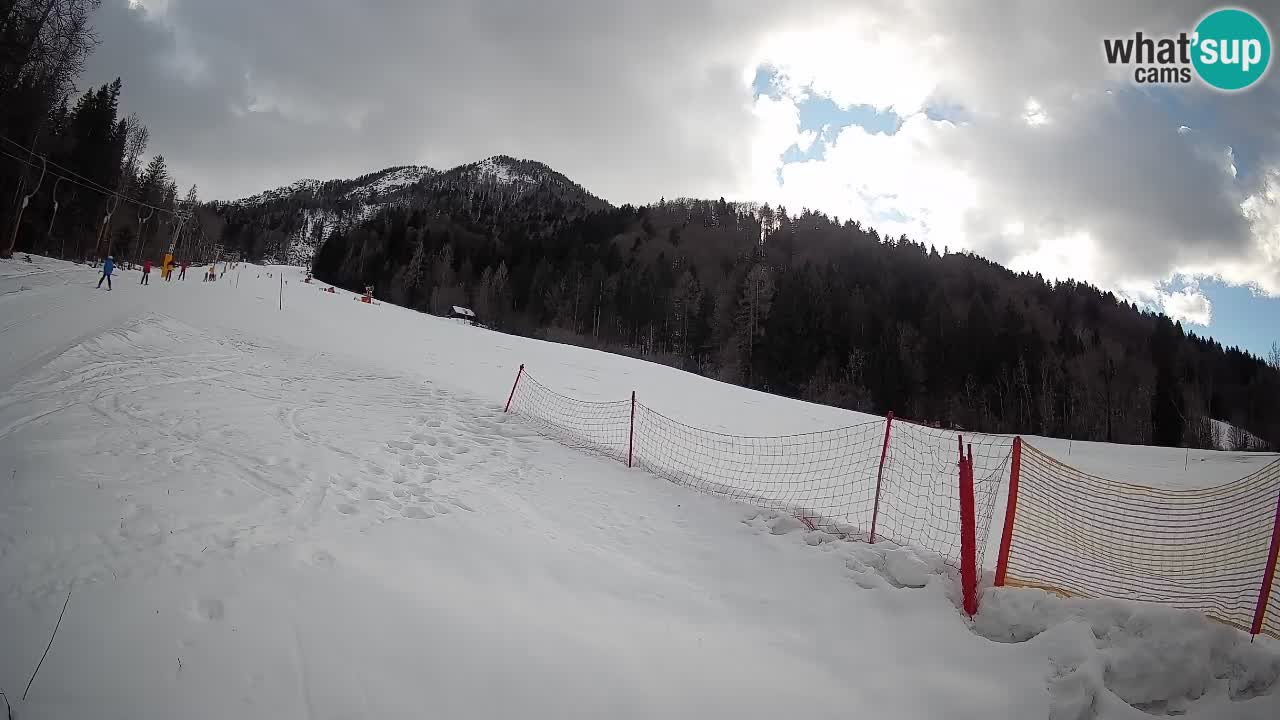 Esquí Kranjska Gora | Brsnina