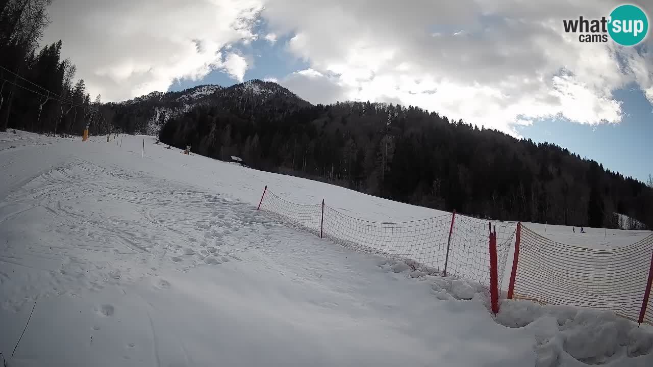 Kranjska Gora Station de ski | Brsnina
