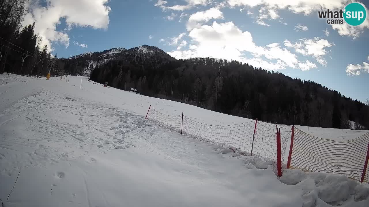 Esquí Kranjska Gora | Brsnina