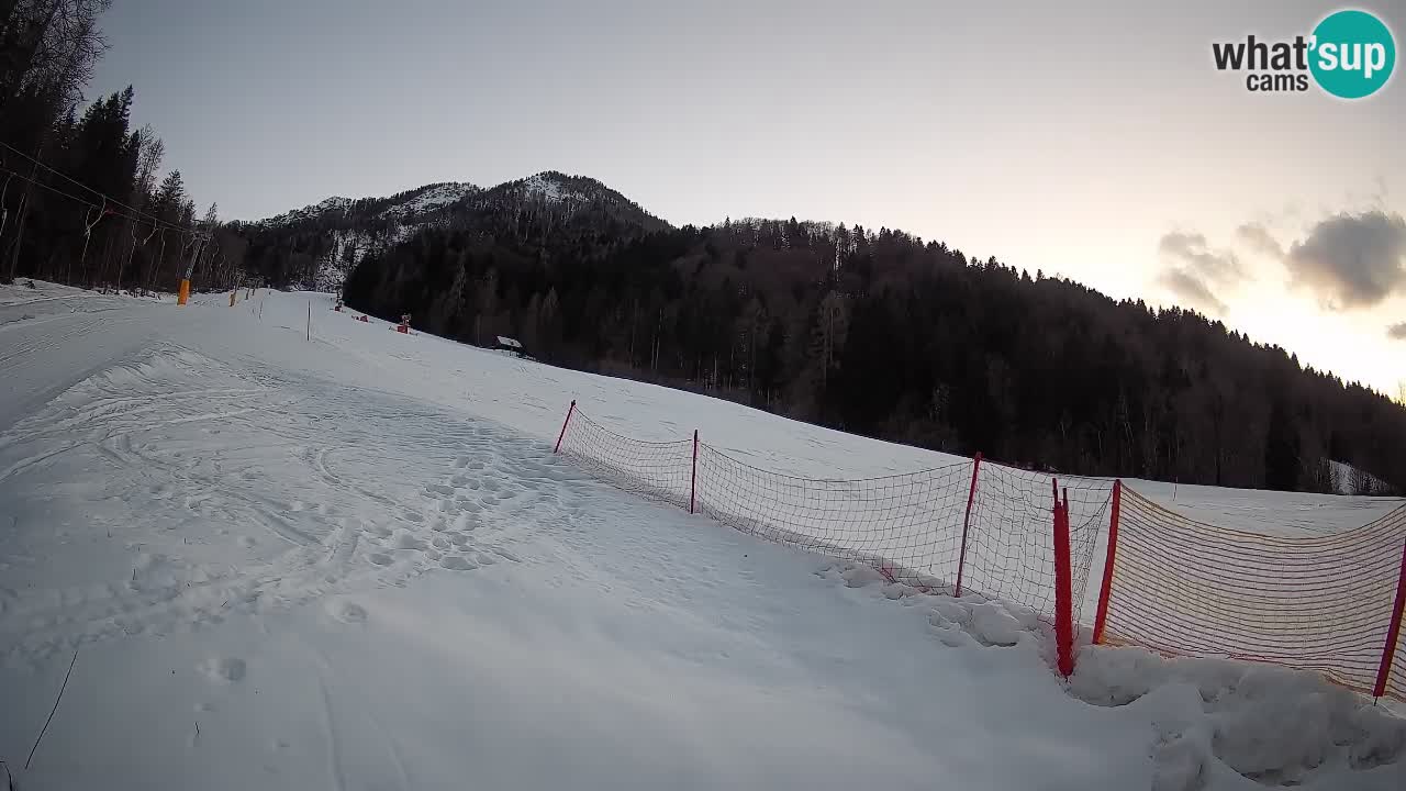 Ski Kranjska Gora | Brsnina