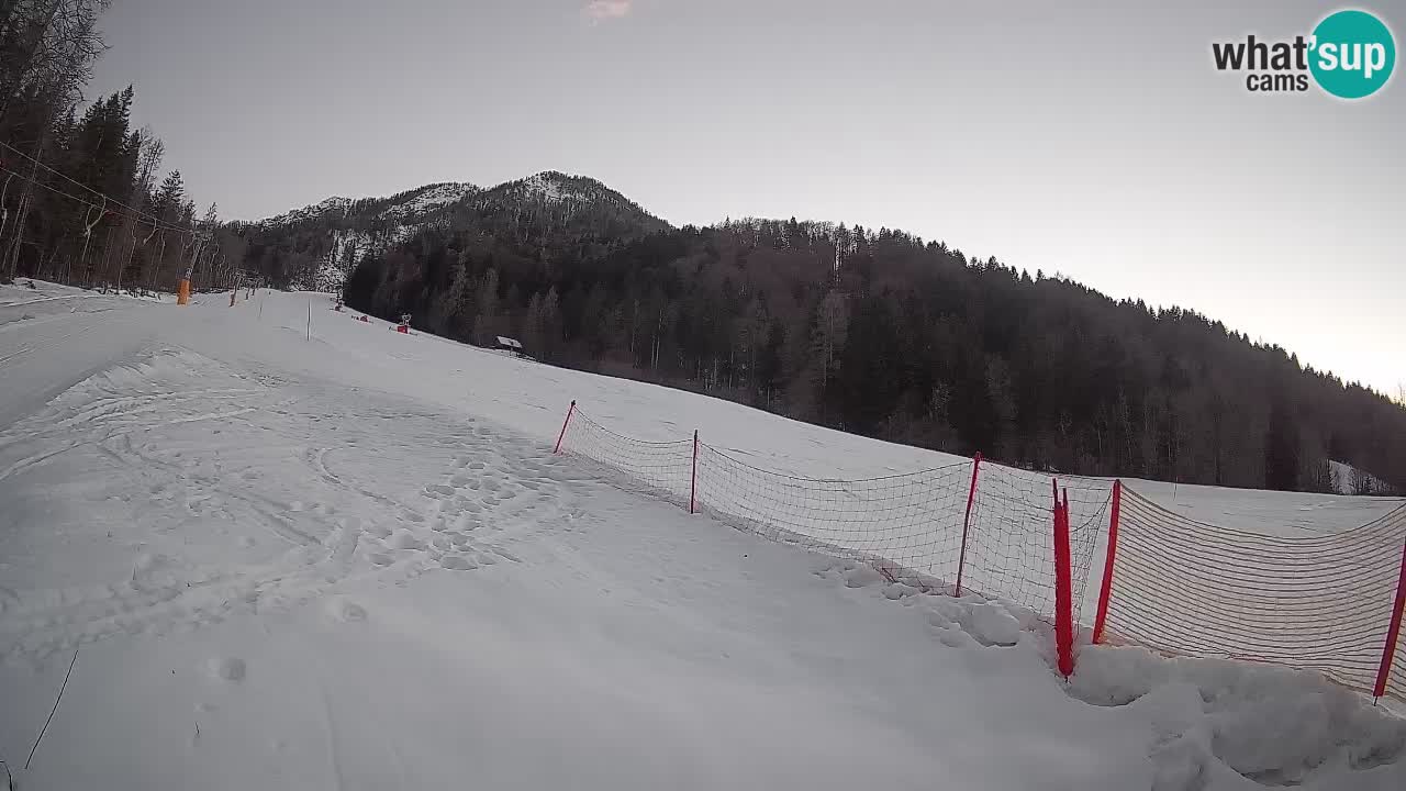 Esquí Kranjska Gora | Brsnina