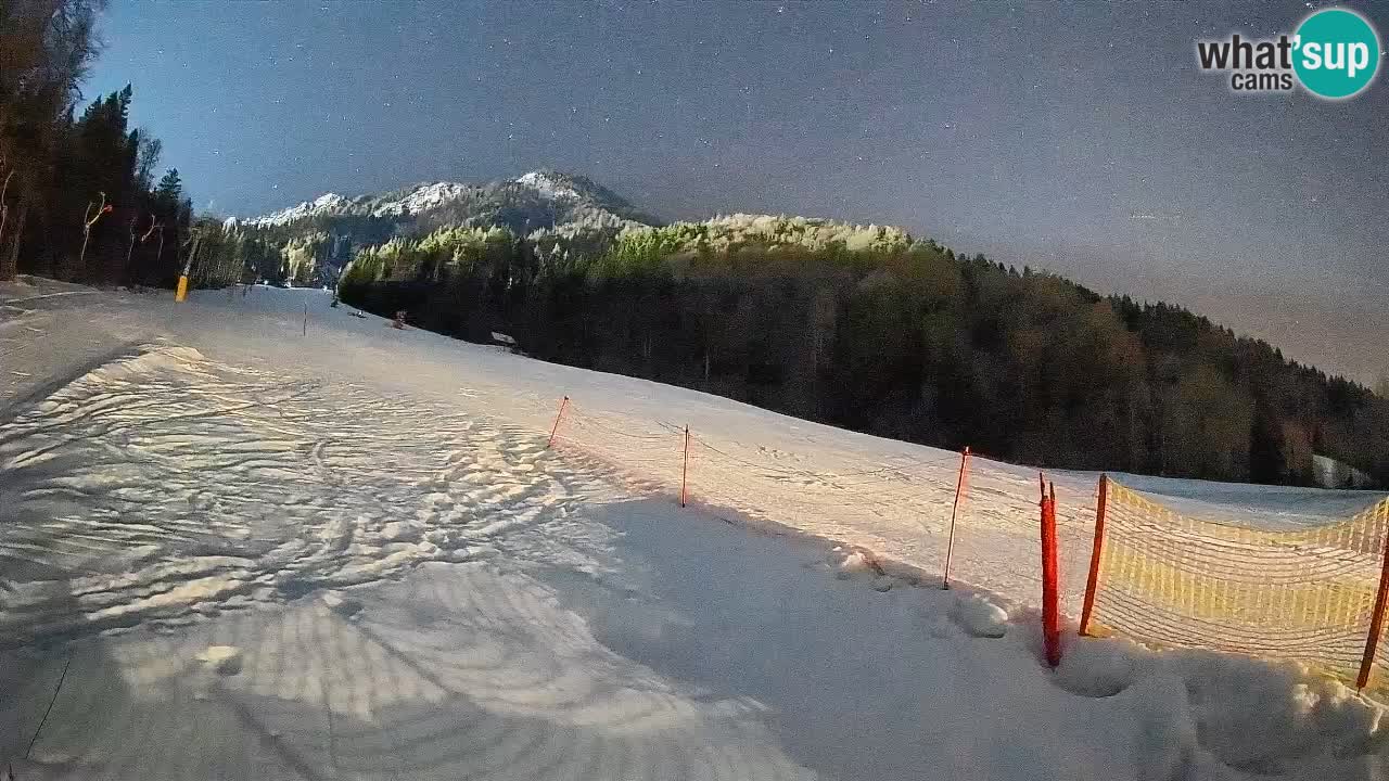 Kranjska Gora SKIJANJE | Brsnina