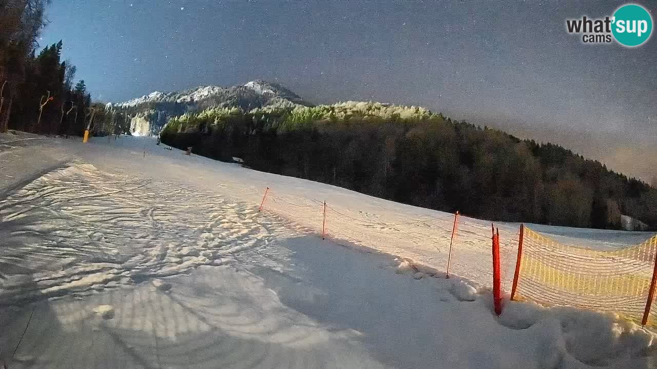 Kranjska Gora Station de ski | Brsnina