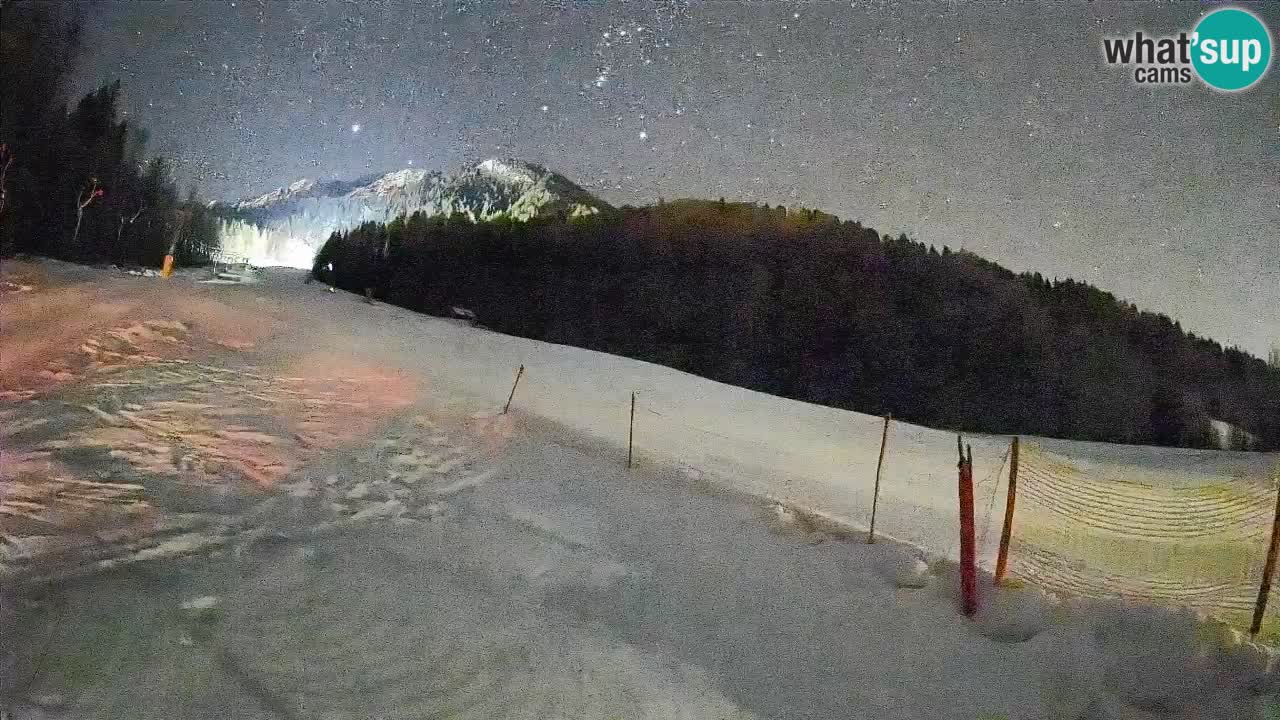 Kranjska Gora Station de ski | Brsnina