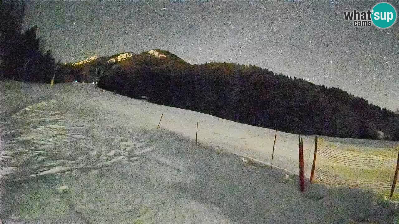 Comprensorio sciistico Kranjska Gora | Brsnina