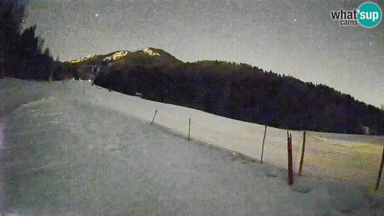 Ski Kranjska Gora | Brsnina