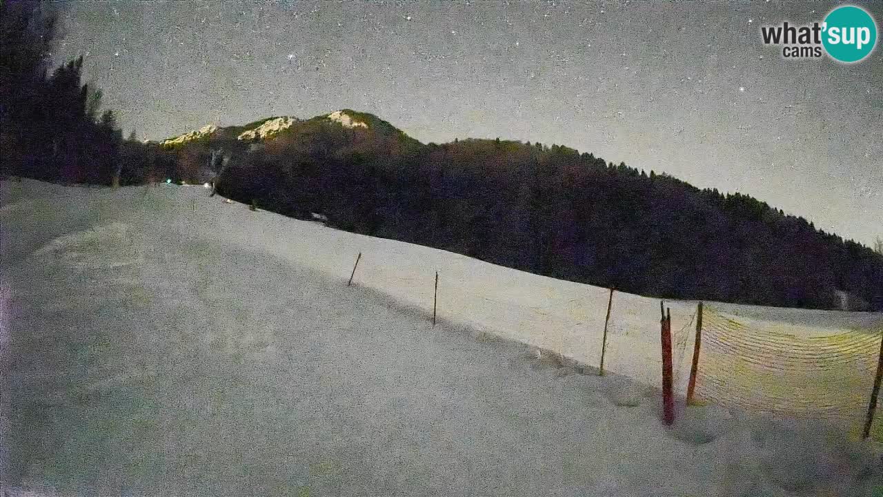 Esquí Kranjska Gora | Brsnina