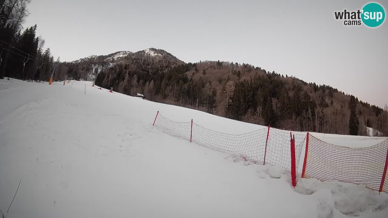 Esquí Kranjska Gora | Brsnina
