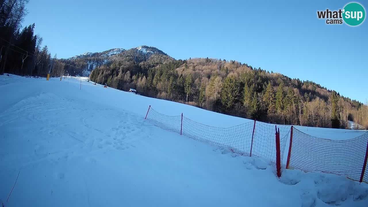 Esquí Kranjska Gora | Brsnina