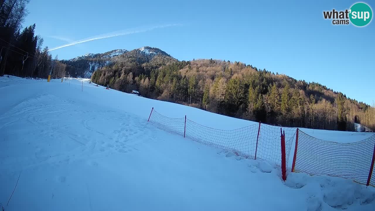 RTC Kranjska Gora | Brsnina