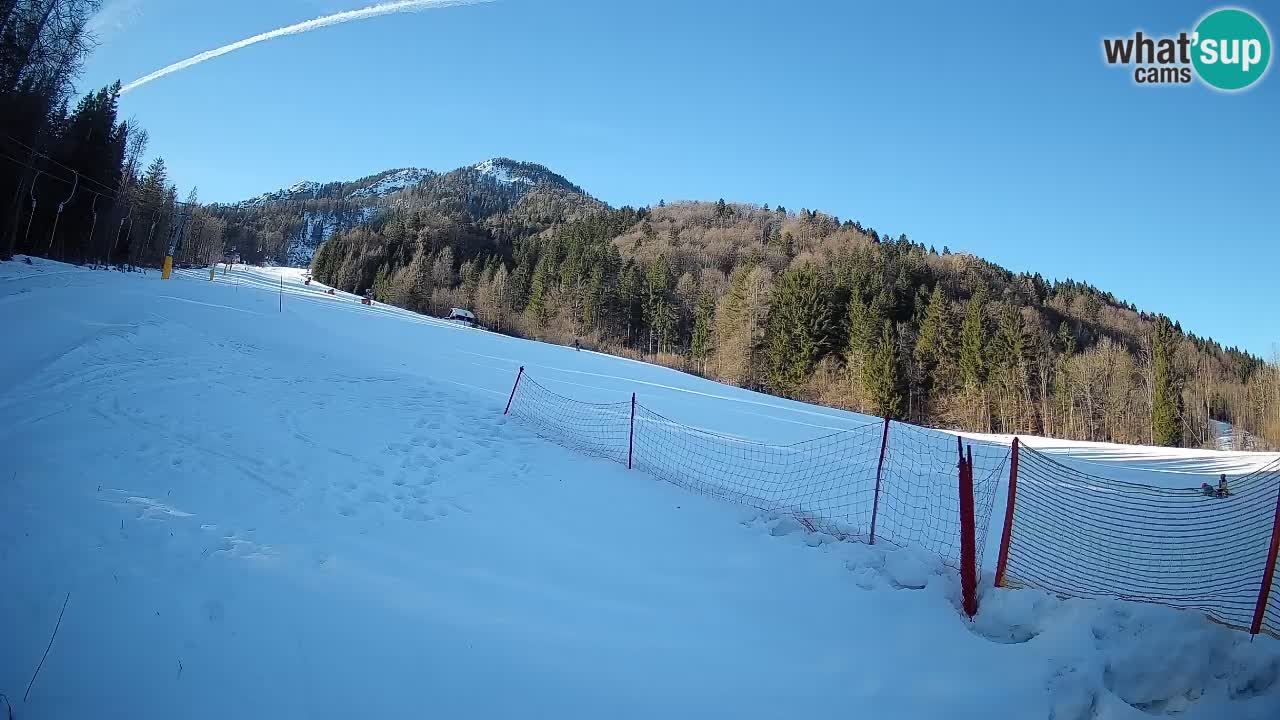 RTC Kranjska Gora | Brsnina