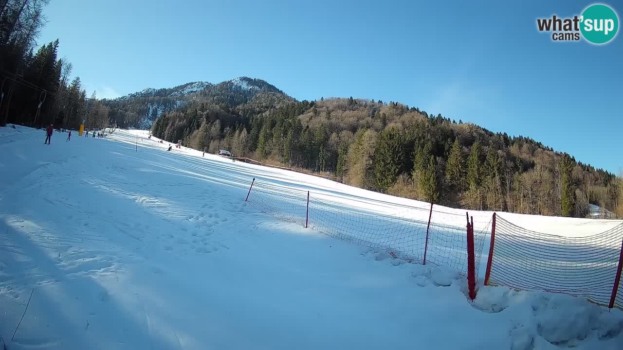 Esquí Kranjska Gora | Brsnina