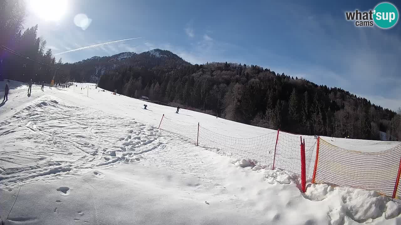Kranjska Gora SKIJANJE | Brsnina