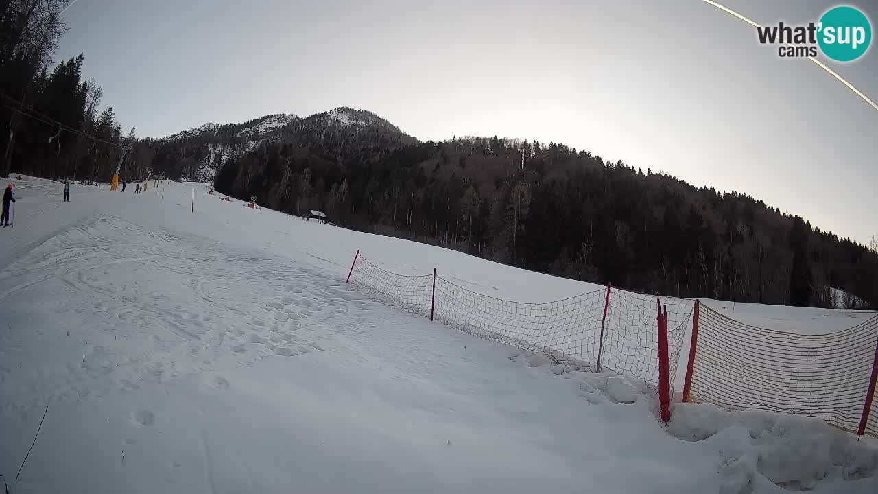Ski Kranjska Gora | Brsnina