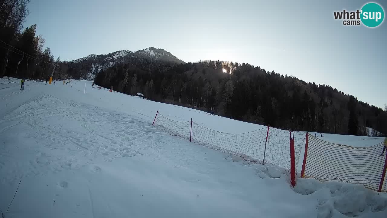 Kranjska Gora SKIJANJE | Brsnina