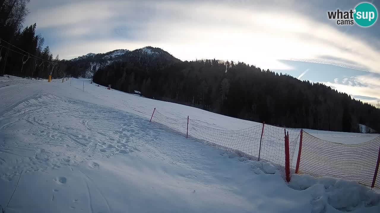 Kranjska Gora SKIJANJE | Brsnina