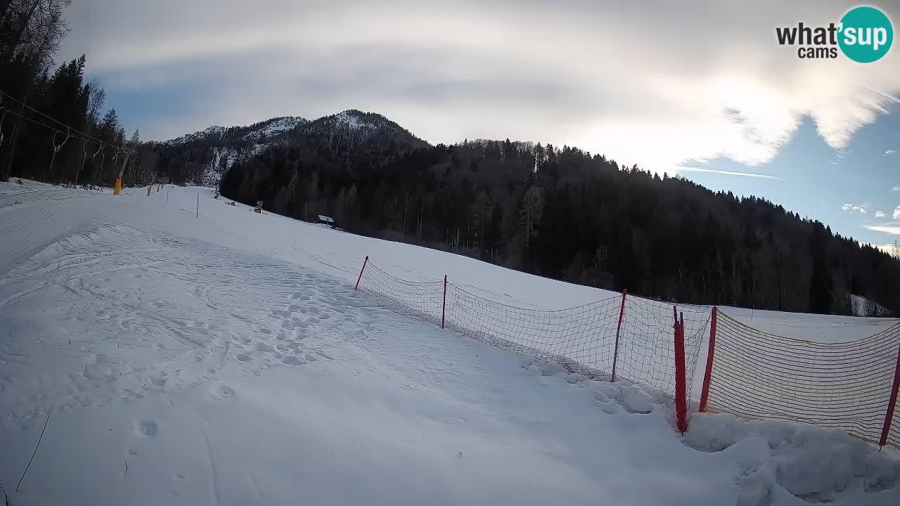 Esquí Kranjska Gora | Brsnina