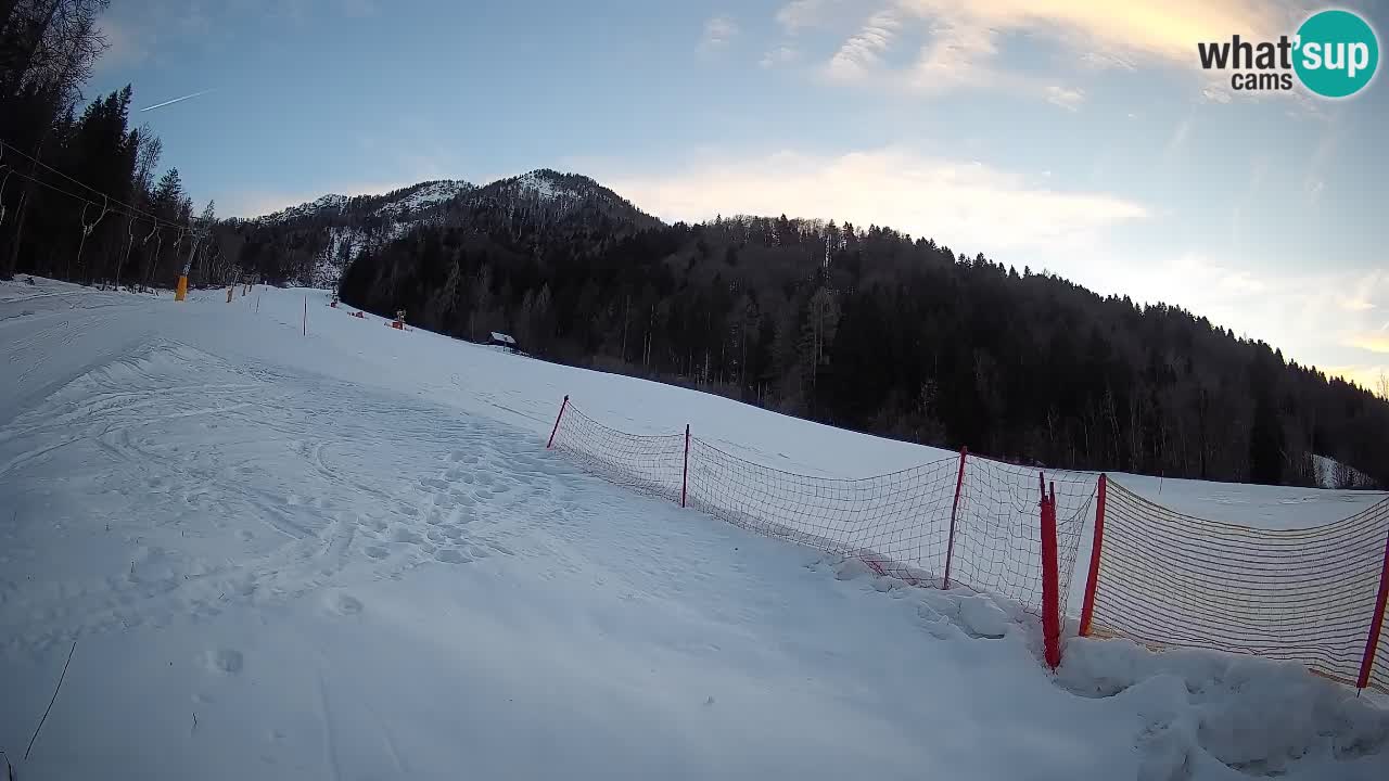 Ski Kranjska Gora | Brsnina