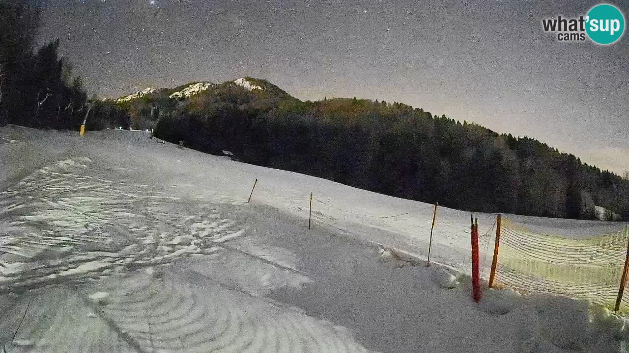 Kranjska Gora Station de ski | Brsnina