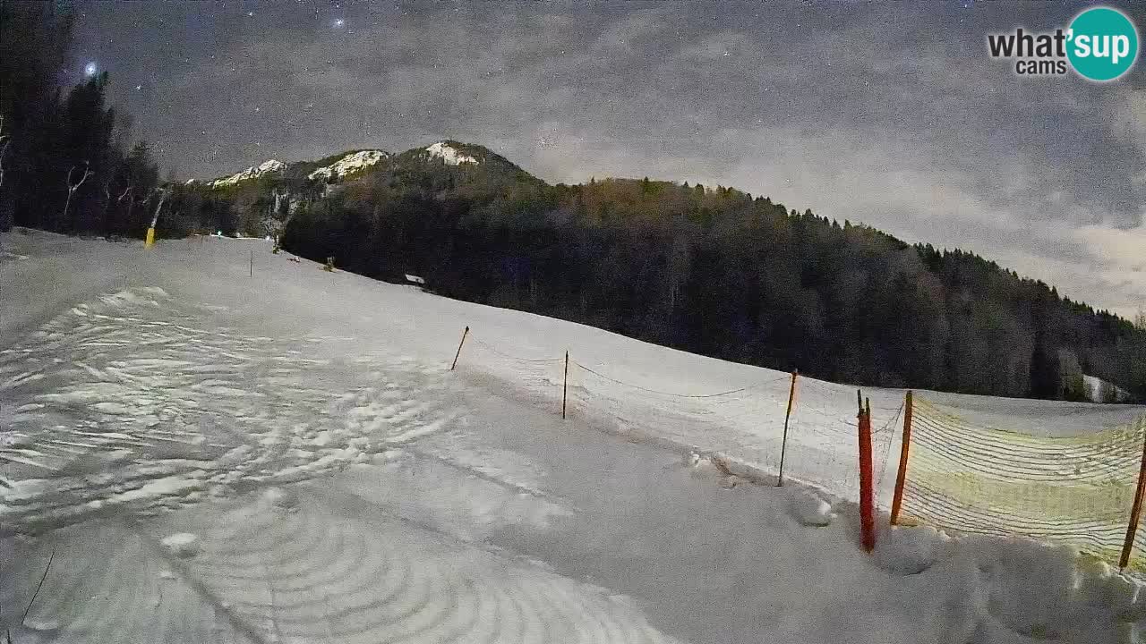 Ski Kranjska Gora | Brsnina