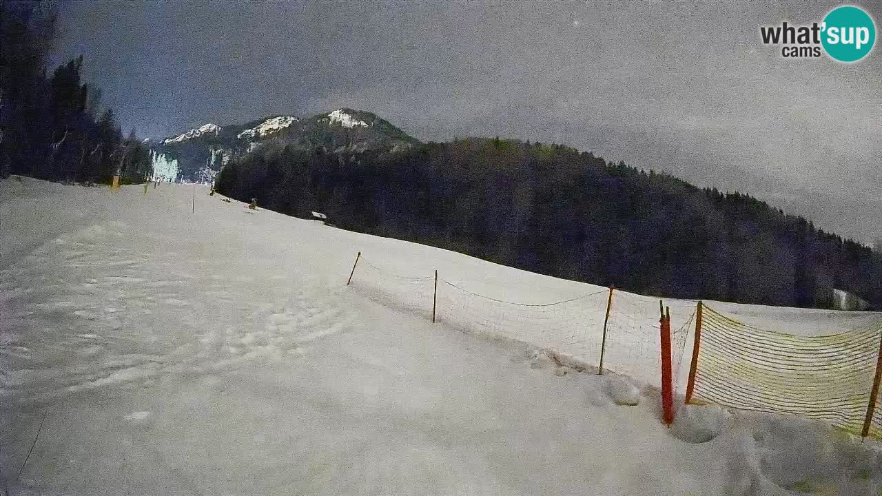 Kranjska Gora SKIJANJE | Brsnina