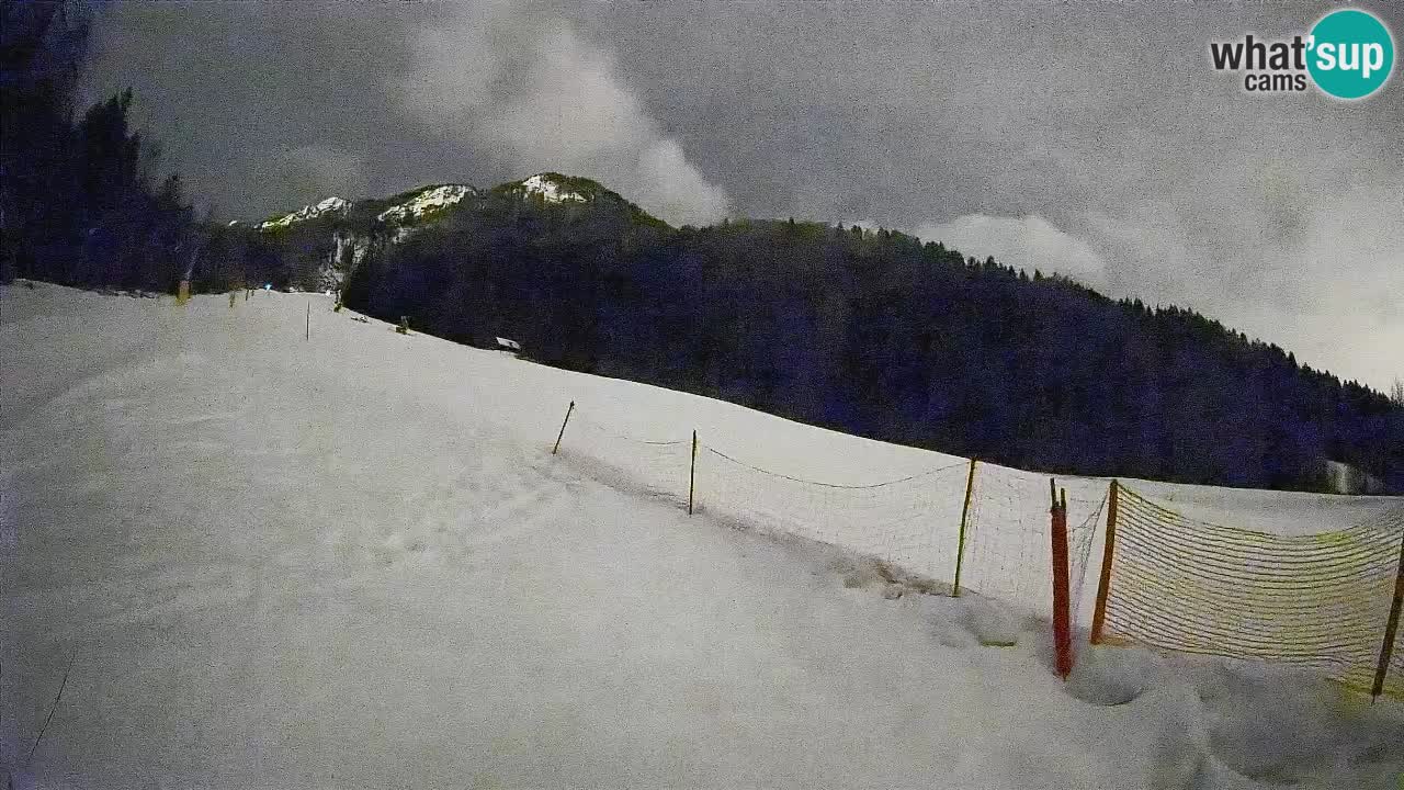 Esquí Kranjska Gora | Brsnina