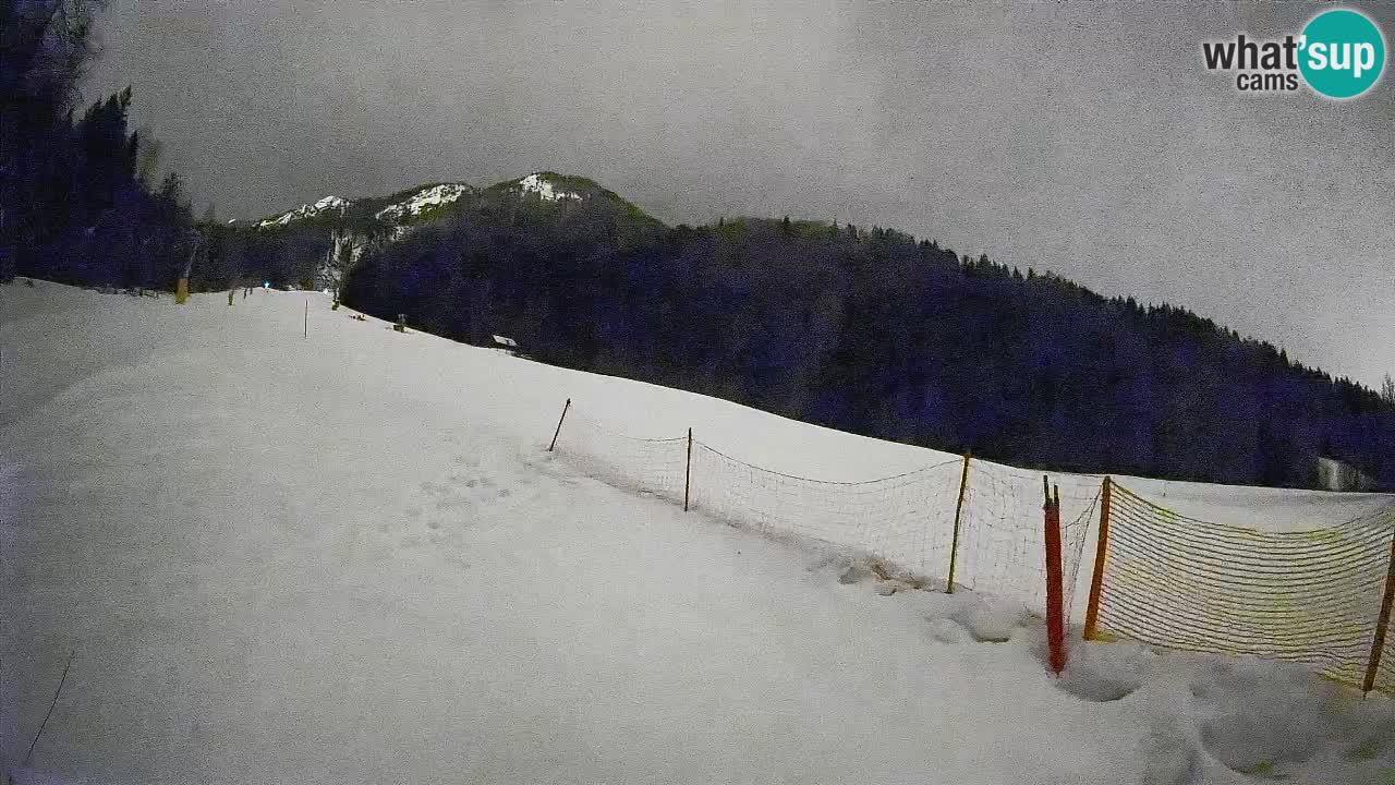Ski Kranjska Gora | Brsnina