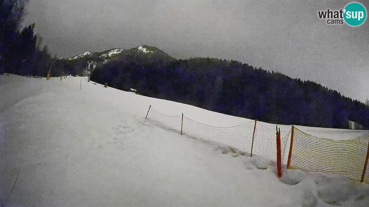 Kranjska Gora SKIJANJE | Brsnina