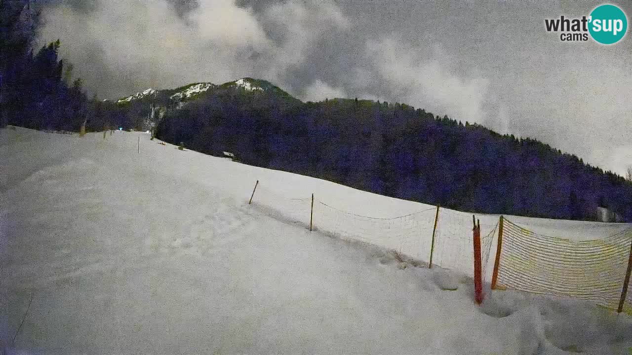 Comprensorio sciistico Kranjska Gora | Brsnina