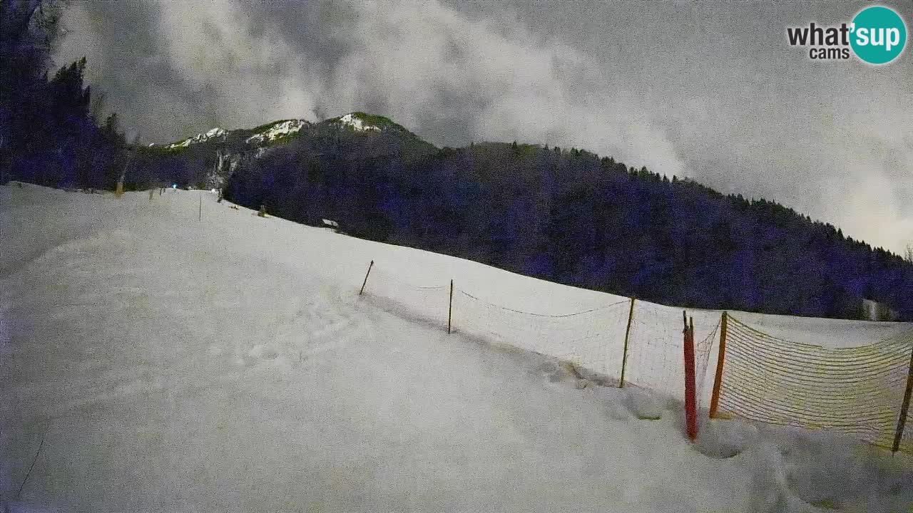 Esquí Kranjska Gora | Brsnina