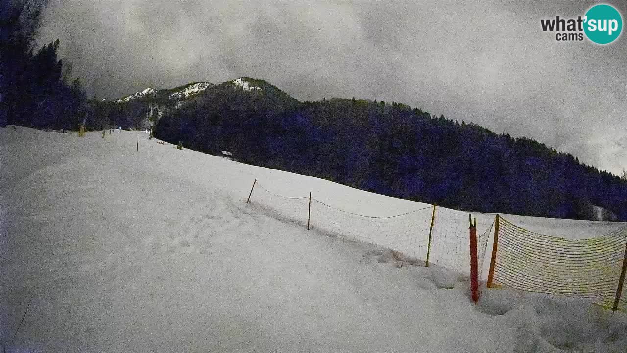 Ski Kranjska Gora | Brsnina