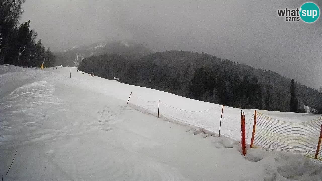 Kranjska Gora Station de ski | Brsnina