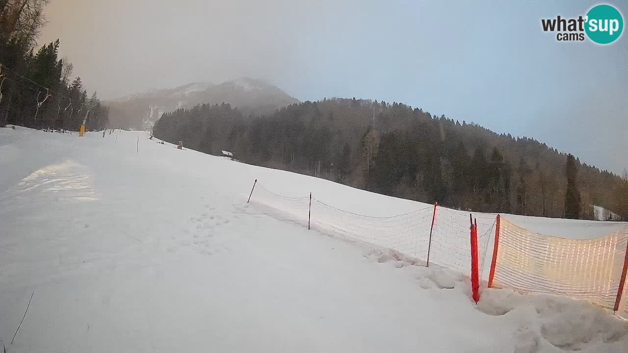 RTC Skigebiet Kranjska Gora | Brsnina