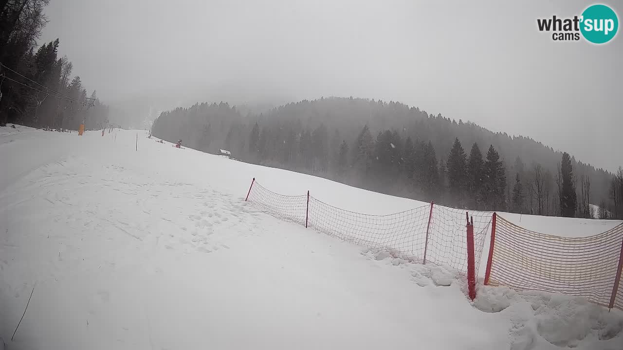 Kranjska Gora SKIJANJE | Brsnina