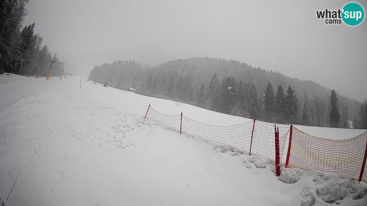 Esquí Kranjska Gora | Brsnina