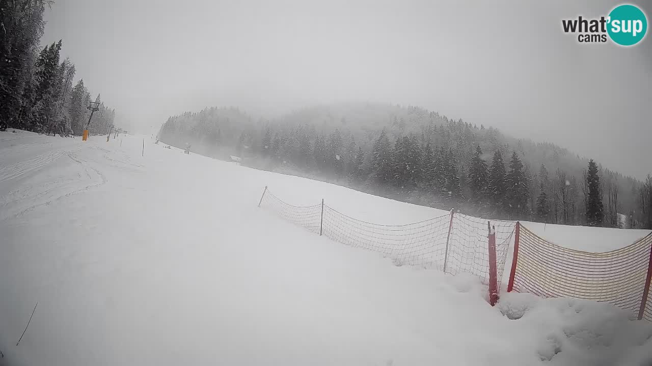 Kranjska Gora Station de ski | Brsnina