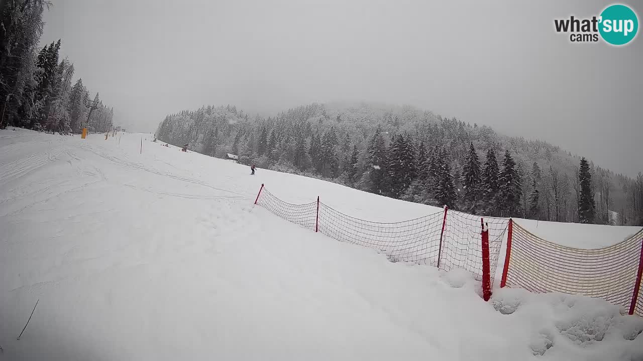 Kranjska Gora Station de ski | Brsnina
