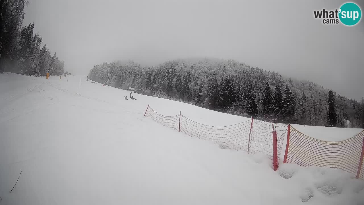 Kranjska Gora SKIJANJE | Brsnina