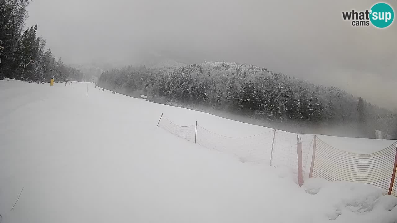 Esquí Kranjska Gora | Brsnina