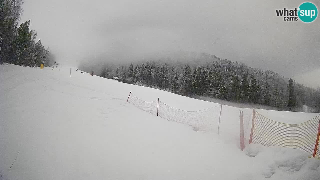Kranjska Gora SKIJANJE | Brsnina